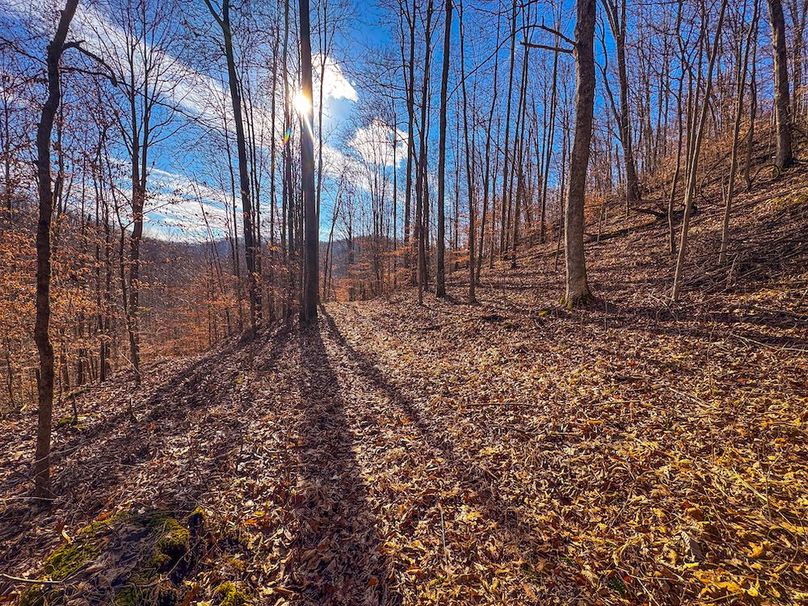 Lewis, WV 82.87 AC Barger-07