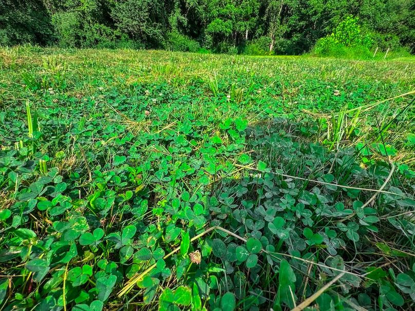 Lewis, WV 105 AC Miller-36