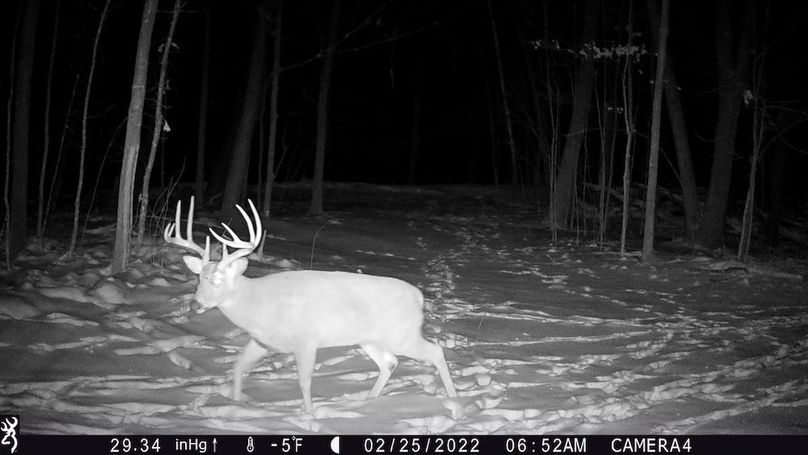 Trailcam - 2