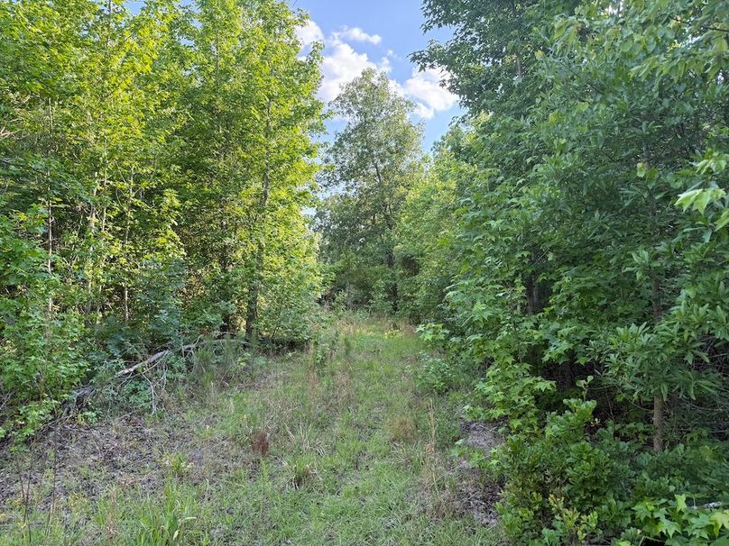 13 - trail 9