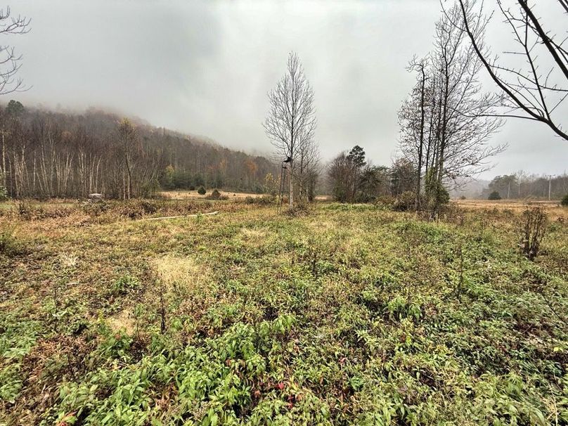 010 awesome views all around the property-2