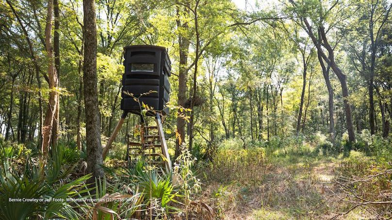 Tallahatchie 847 Messina-45