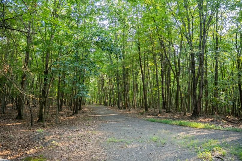 Franklin 59.85_043-2