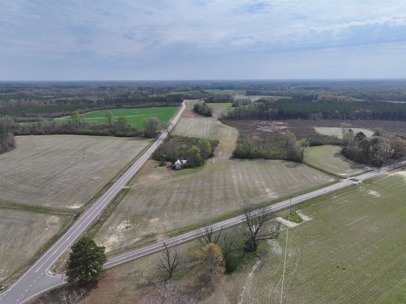 Copy of DJI_20260303065003_0585_D