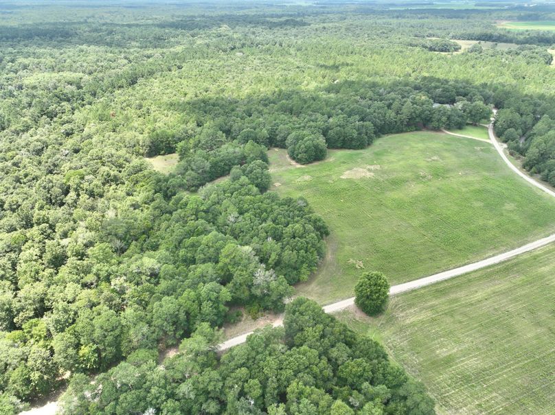 dji_fly_20230731_132222_435_1690845828838_photo