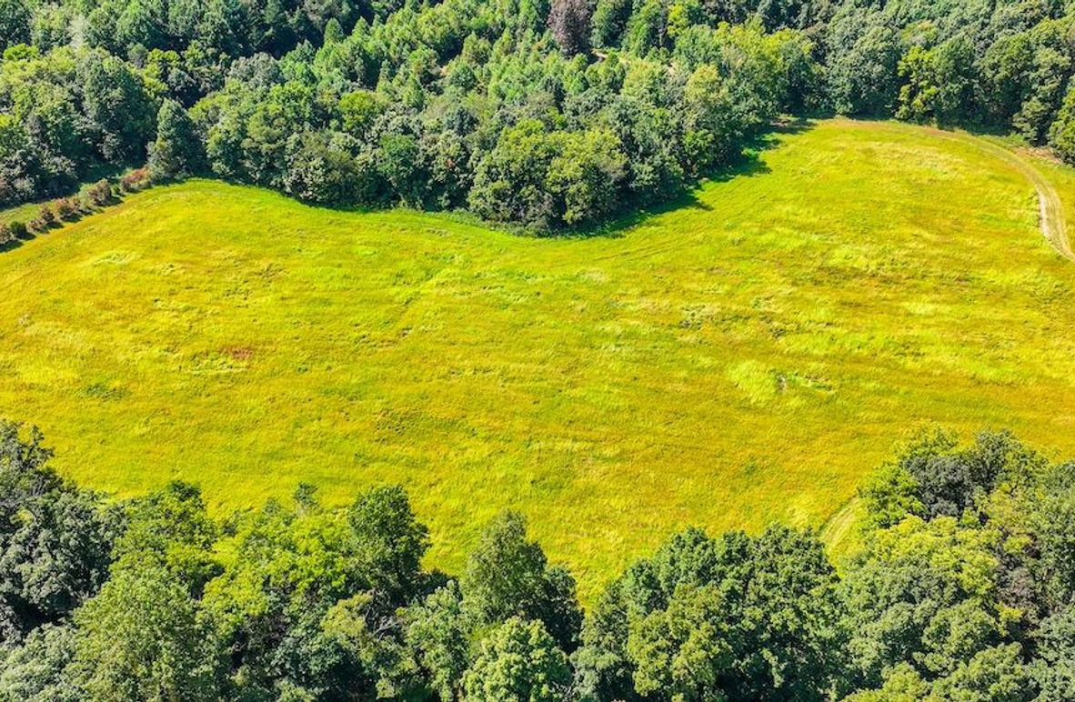 Copy of dji_fly_20250910_132706_0467_1757525879321_photo