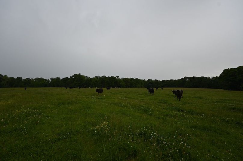 DSC_0211