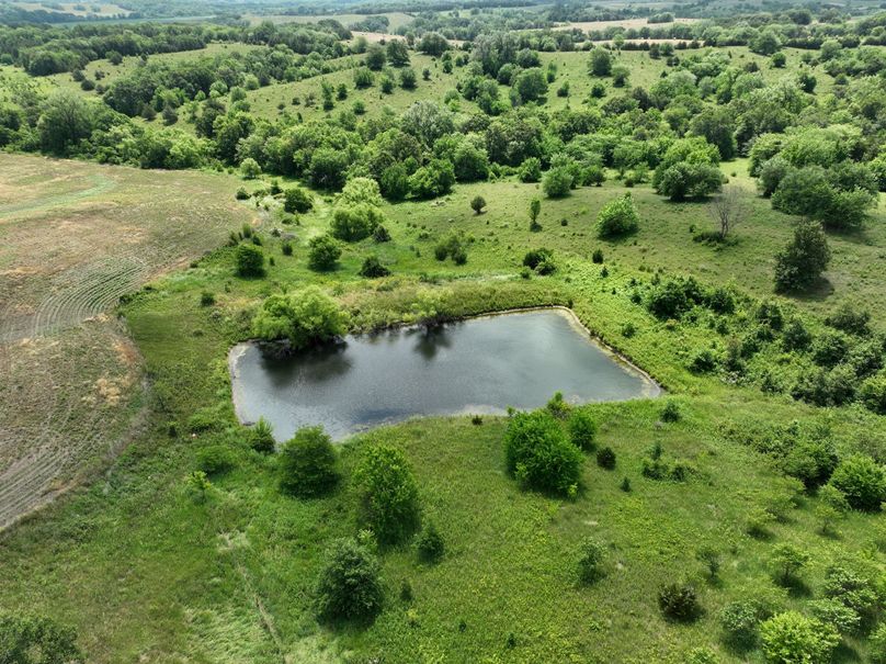 dji_fly_20230625_115750_464_1687717435354_photo