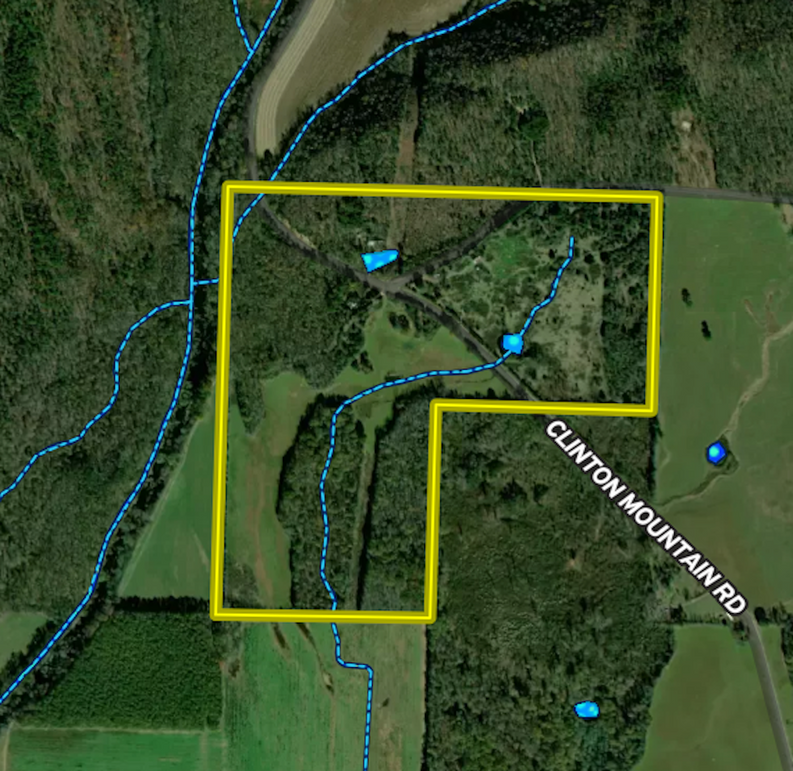 Screen Shot 2024-06-03 at 4.38.16 PM