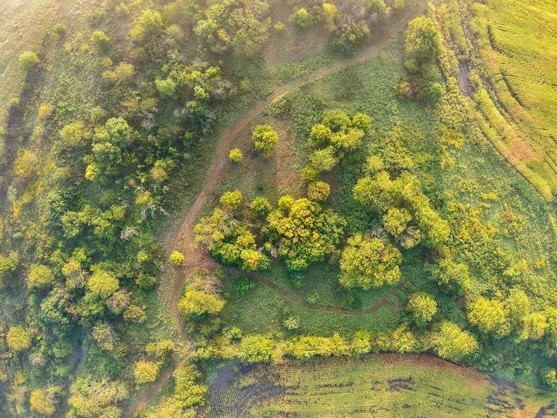 DJI_20250906074056_0054_D