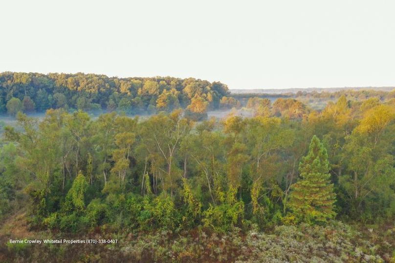 DeSoto 109 Prewett -14