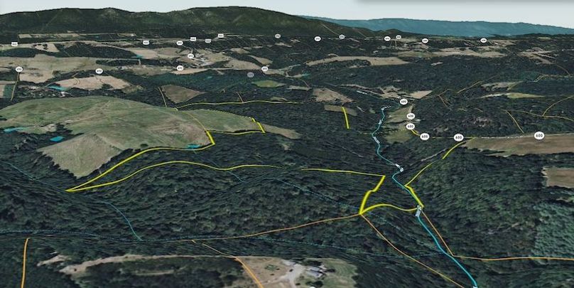 Frederick 84.57 3D 1