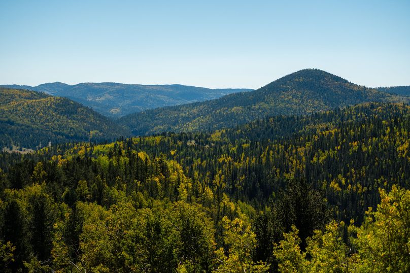 Teller Co 4.65 Thomas - 022 Cliff View - South