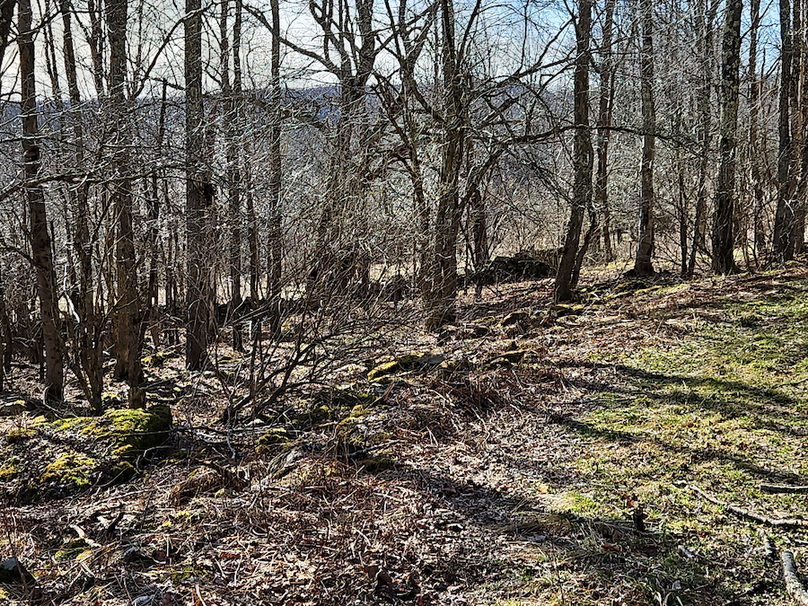 photo_fc4f5797-96f6-4394-b037-04ed4c588d99