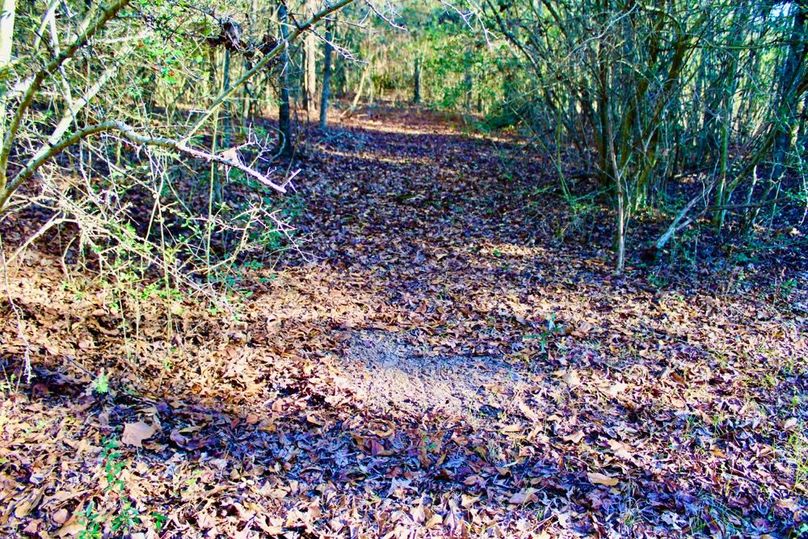 7775FFF2-0659-4E17-8FDA-E509606E0997_1_201_a-2