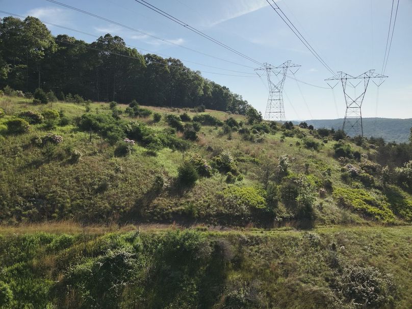 DJI_20240521083048_0009_V