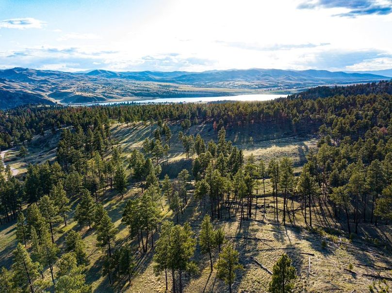 20250430-DJI_0020