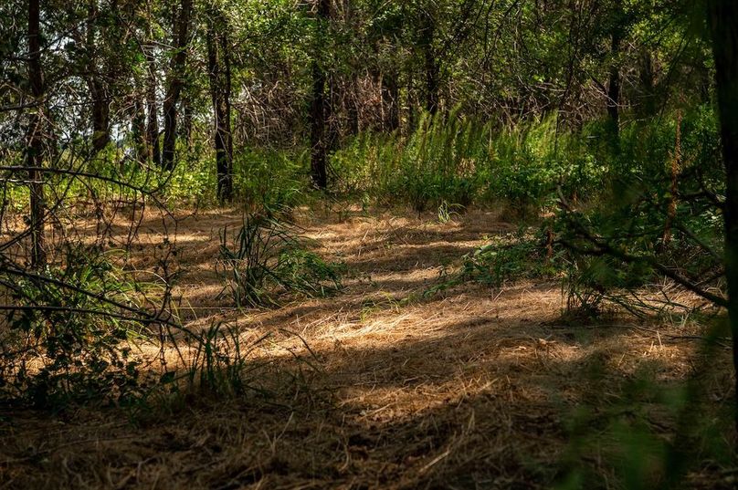 Copy of Copy of TRACT 1-67