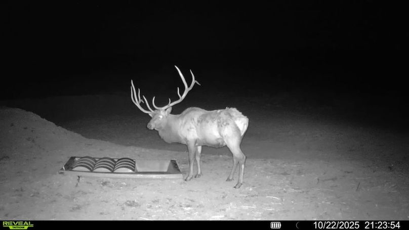 016578003984348-100-2-10222025212354-V-SYFW02429