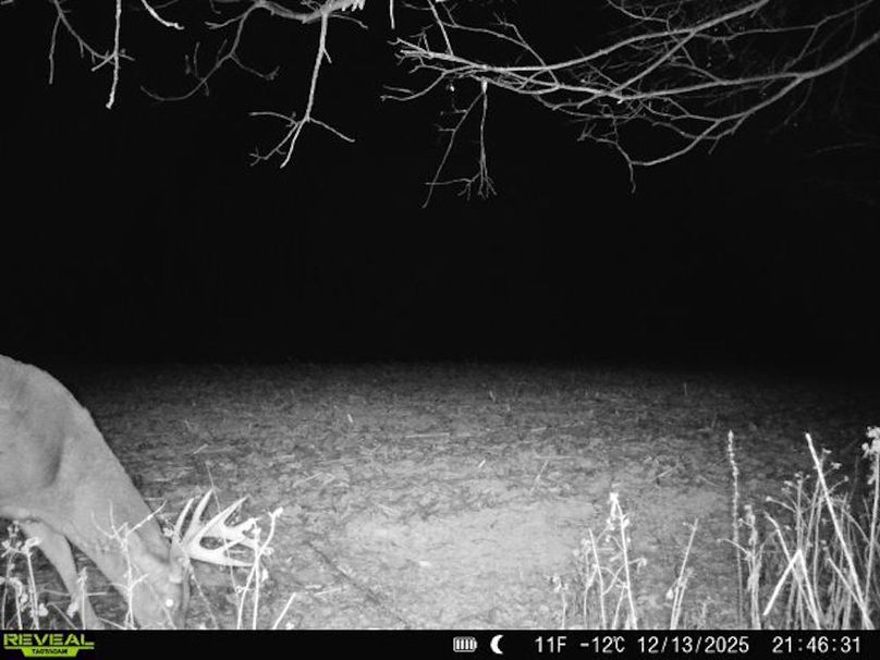 860516068095052-0-4-12132025214630-V-W1000285