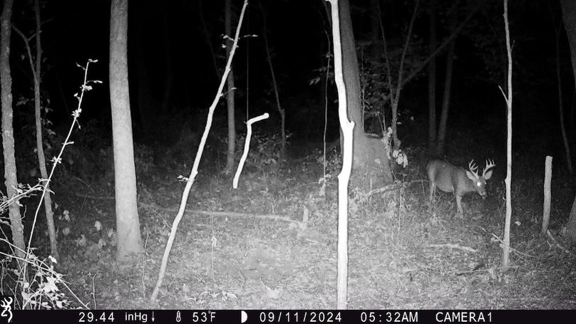 Trail Cam.6