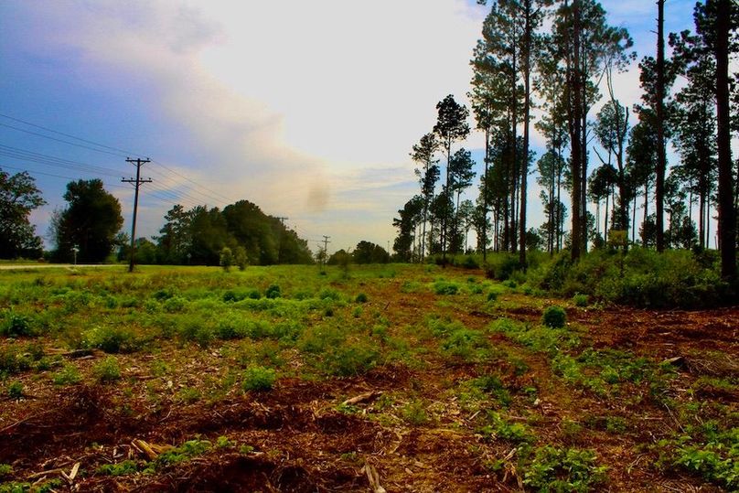 A1CAB48A-C61B-4FCA-85EB-585A45C14BCE_1_105_c