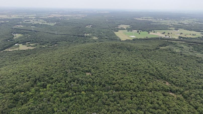 DJI_20240717151955_0006_D