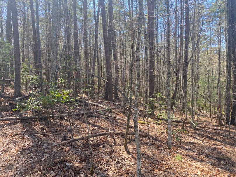 Cherokee 69.74 Stiles-20