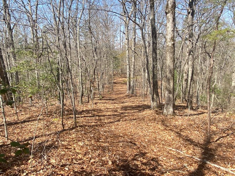 Cherokee 69.74 Stiles-04