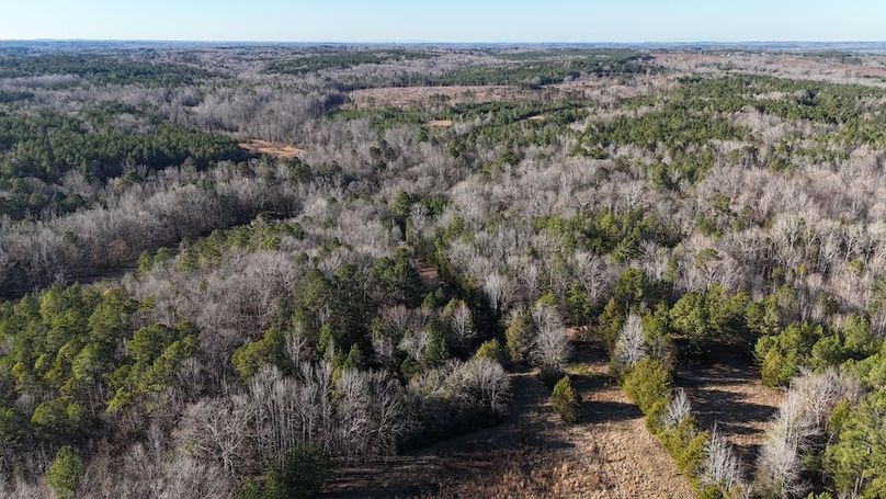 DJI_20241230151917_0008_D