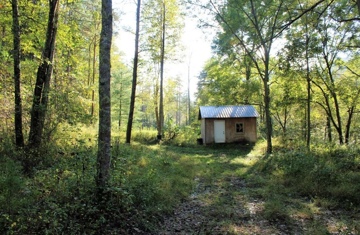 002 small shed, perfect for a dry place to sleep