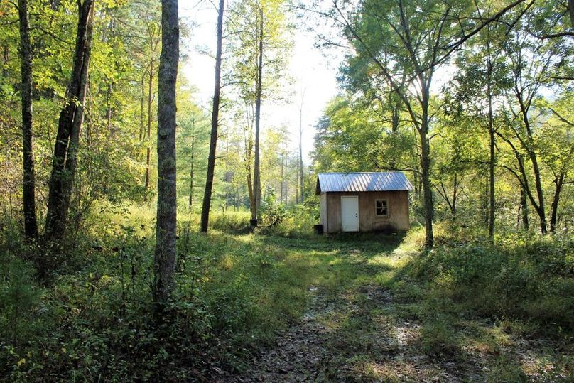 002 small shed, perfect for a dry place to sleep