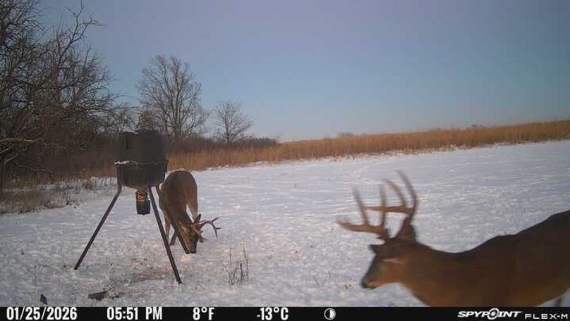 Trail Cam 6