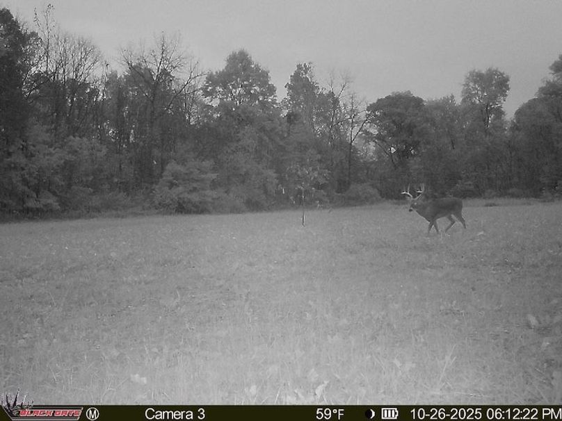 8E6FF0BF-4BCD-436E-BBCB-950B62EE406B