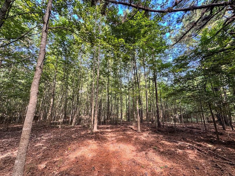 27 Jefferson 117ac - bethard-39