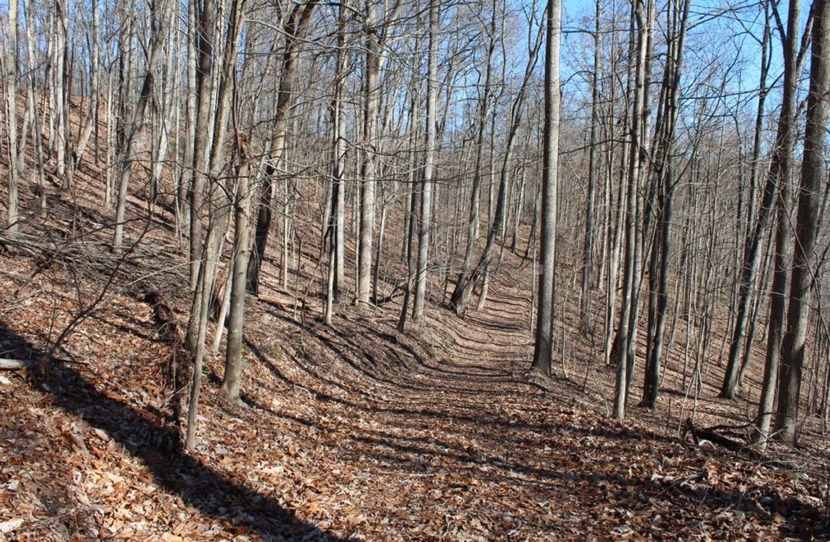 002 south facing hardwood slope with nice trail system