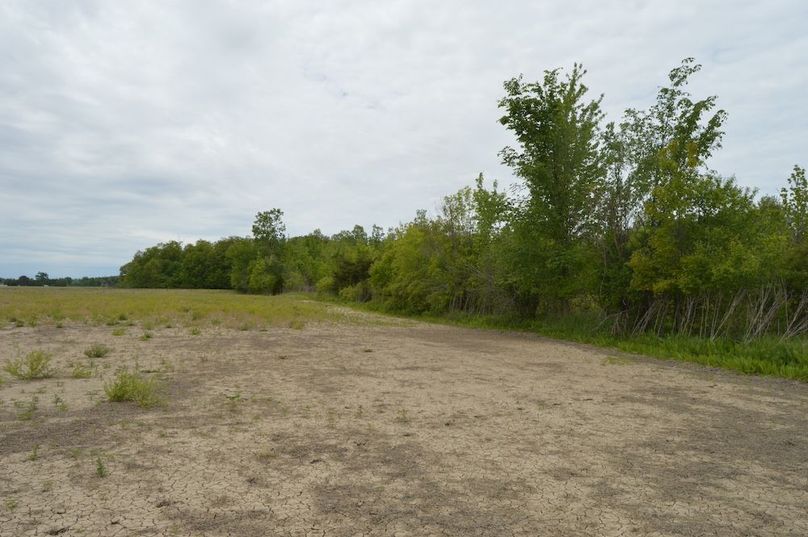 North border of woods looking east