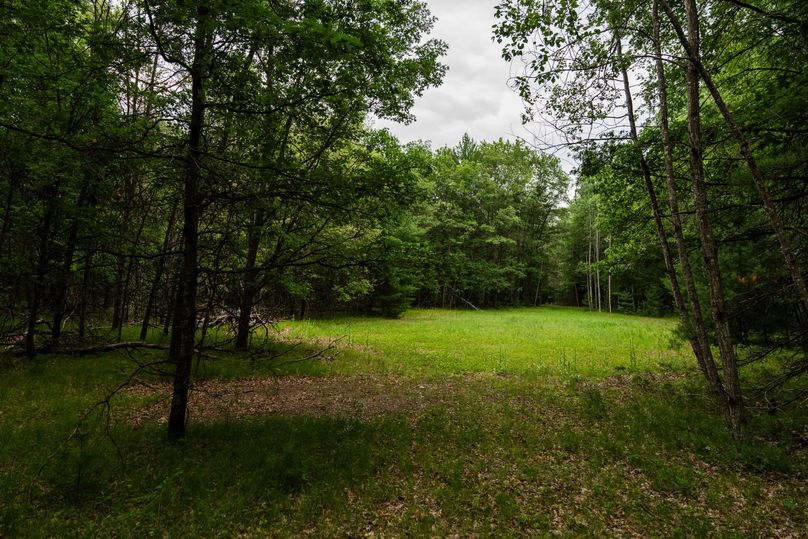 Ogemaw MI 475 Featured Pro Photo-742238