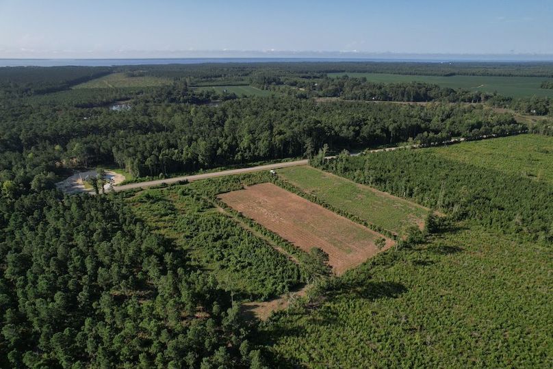 dji_fly_20250725_084158_900_1753448155573_photo