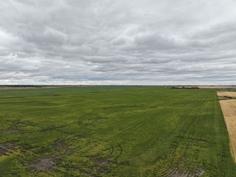 DJI_20250801163044_0731_D