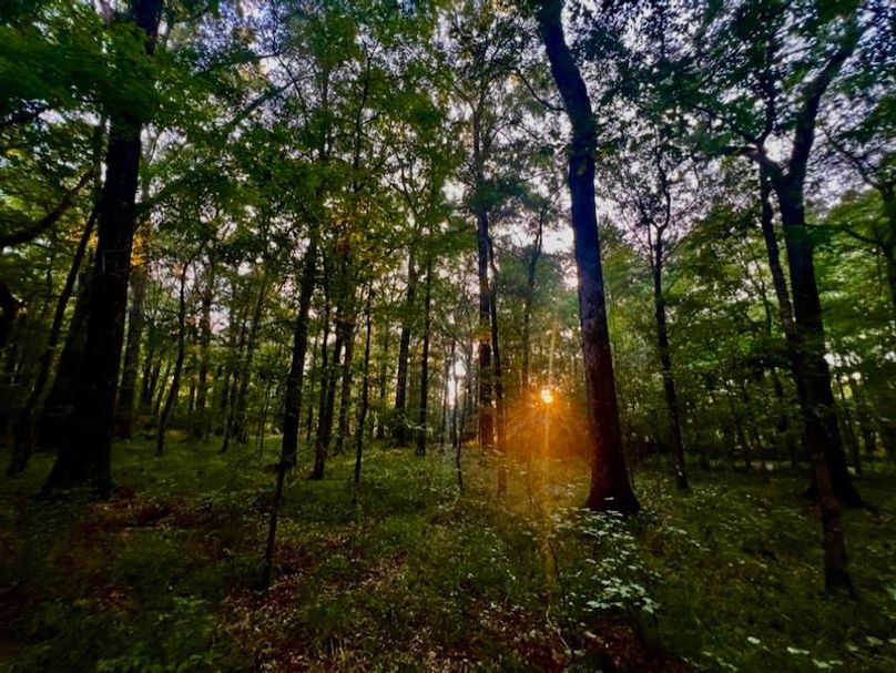 87BE2577-ADB7-454C-9797-86739CBAF4B4_1_105_c