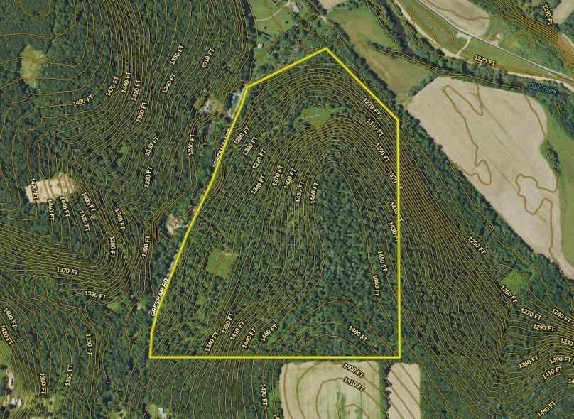 Screen Shot 2024-09-11 at 2.33.20 PM