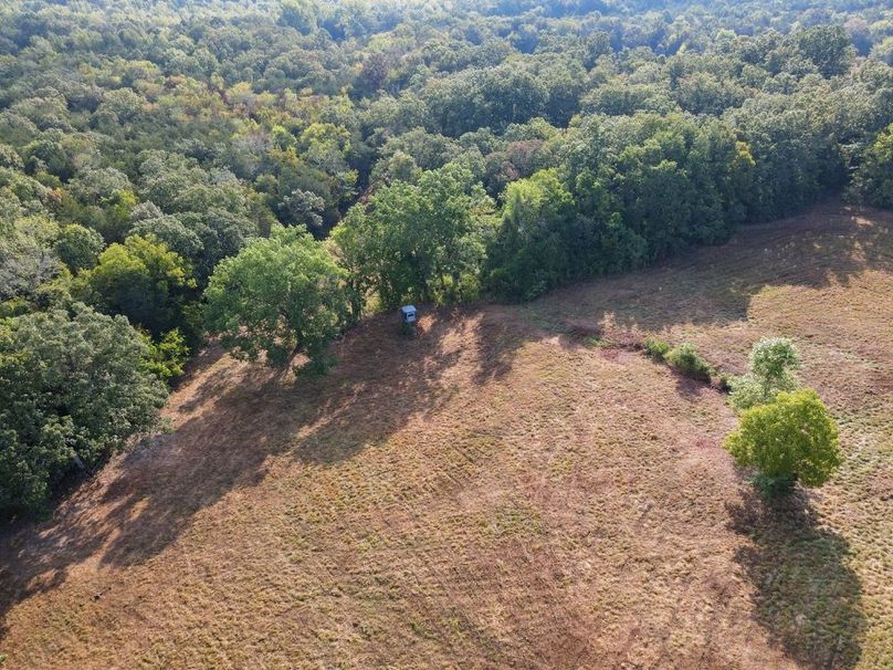 dji_fly_20250826_083750_690_1756215482544_photo