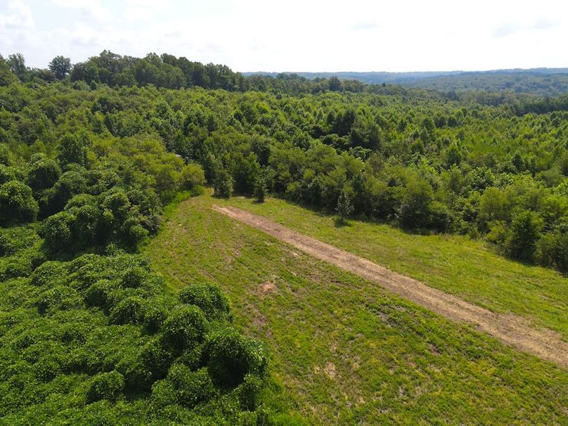 dji_fly_20250729_111506_813_1753802128650_photo