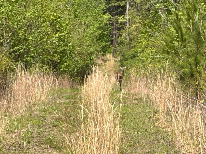 97195627-E051-4118-9F4F-DE81937E9147_1_105_c-2