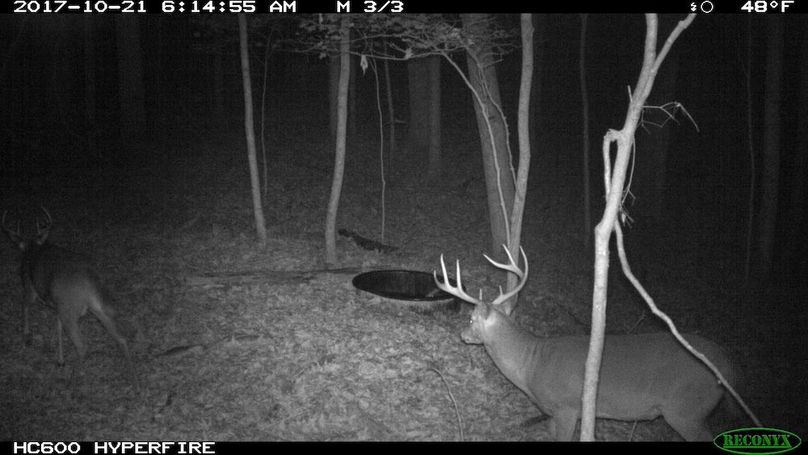 2017-10-21 06-14-55 M 3_3