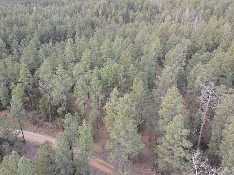 12.dji_fly_20240227_075352_385_1709045800814_photo