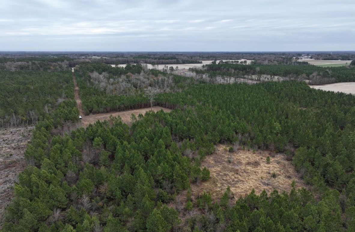 dji_fly_20251211_103418_0002_1766519242298_photo