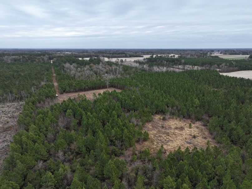 dji_fly_20251211_103418_0002_1766519242298_photo