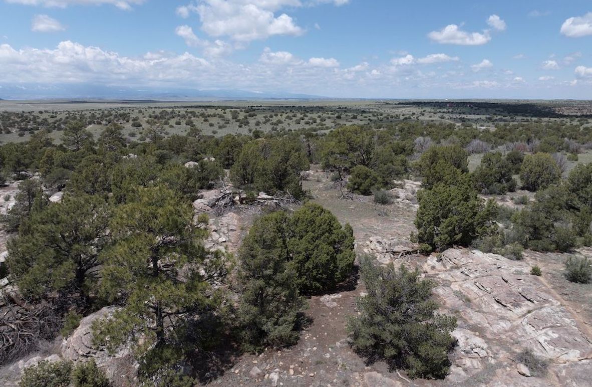 DJI_20250508124011_0056_D